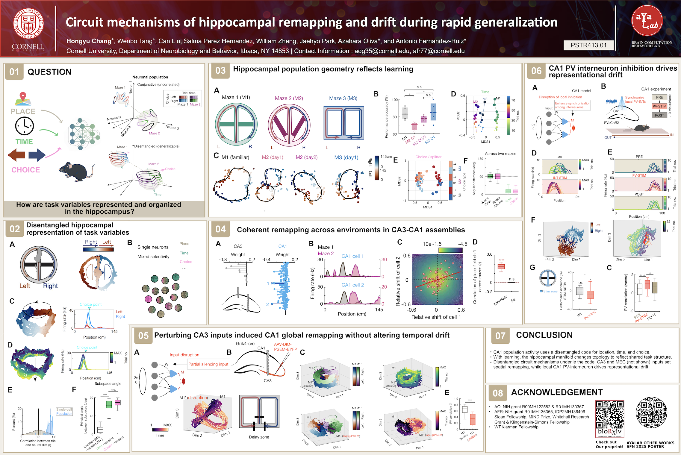 Project Drift figure from SFN 2025